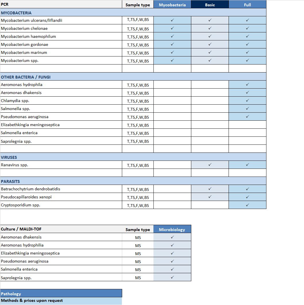ST 36.2 Diagnostic Services Xenopus 2025 WEB